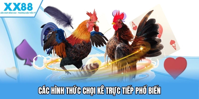 Các hình thức chọi kê trực tiếp phổ biến
