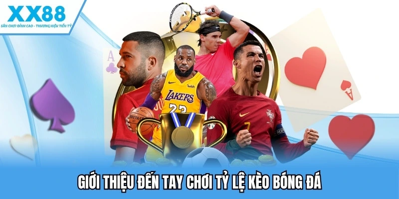 Giới thiệu đến tay chơi tỷ lệ kèo bóng đá