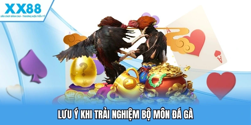 Lưu ý khi trải nghiệm bộ môn đá gà