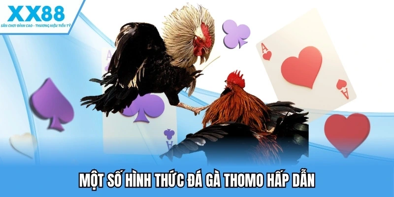 Một số hình thức đá gà thomo hấp dẫn