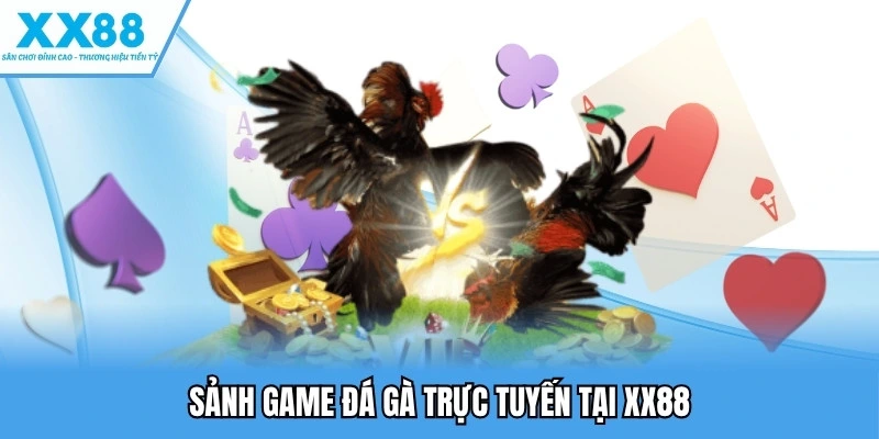 Đá Gà XX88 - Trải Nghiệm Những Kèo Cược Kịch Tính Nhất 2 Sảnh game đá gà trực tuyến tại XX88