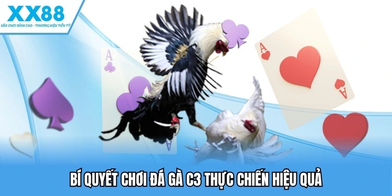 Bí quyết chơi đá gà C3 thực chiến hiệu quả
