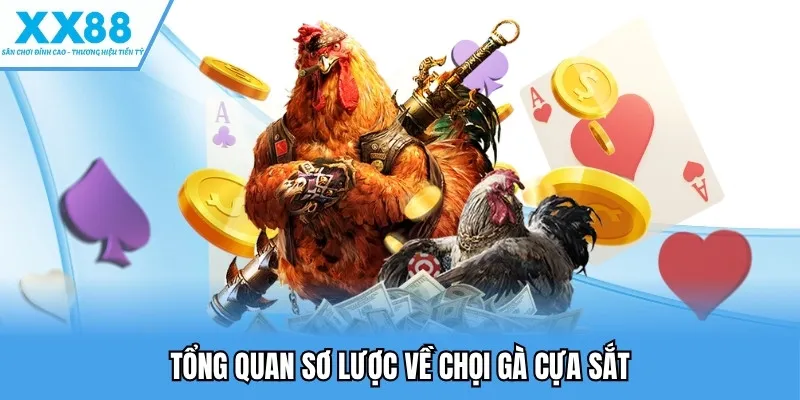 Tổng quan sơ lược về chọi gà cựa sắt